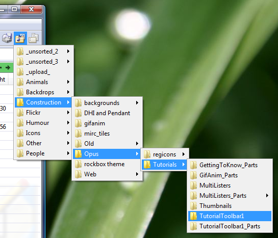 Directory Opus 9: Menus can be generated dynamically from folder contents.